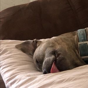 Meet your Posher, Isabella